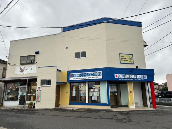 千葉市花見川区にて外壁改修・塗装工事〈築30年の店舗塗装工事〉の施工後写真